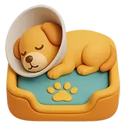 Internação Nippovet