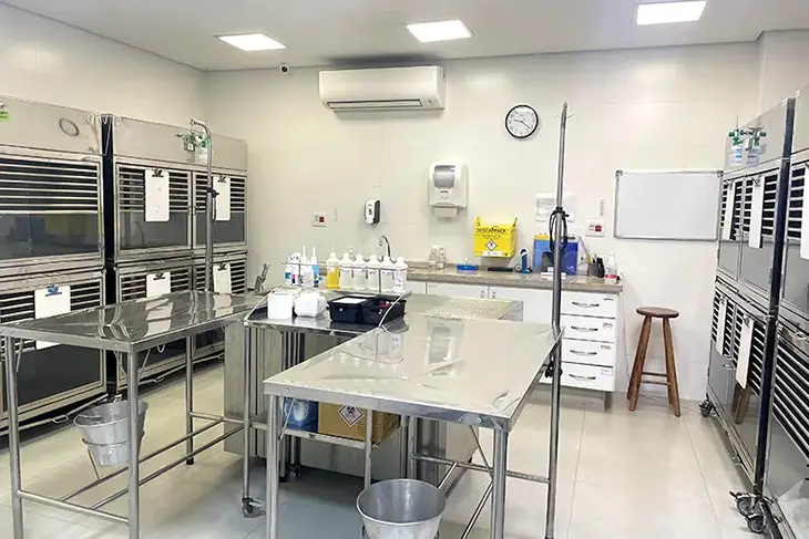 Internação Nippovet hospital veterinário