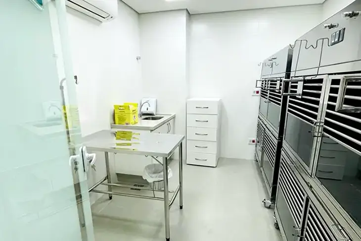 Internação Nippovet hospital veterinário