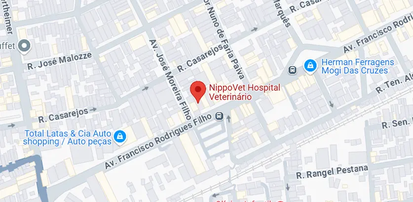 Como chegar no Nippovet Hospital Veterinário